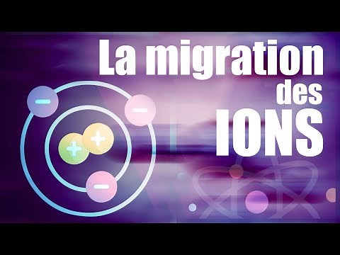 Expérience sur la migration des ions