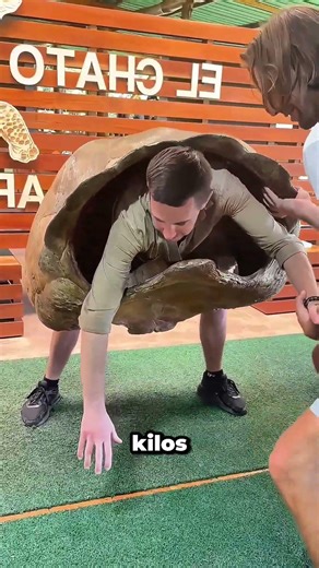 Llevar un caparazón de tortuga de 60 kg durante 1 minuto #shorts #experiment