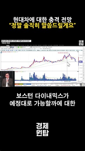Shocking Forecast for Hyundai Motor, "I’ll be completely honest with you" (Deputy General Manager...