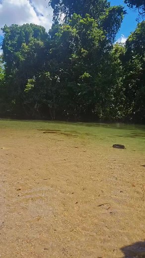 Exploring 80s Music While Swimming in a Creek