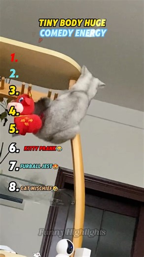 Funny prank 🤣🤣 #usa