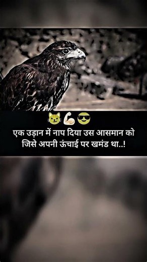 ऊंचाई पर खमंड था🔥| Attitude Shayari | #create #attitudestatus #motivational #LFL #FYP #like #new
