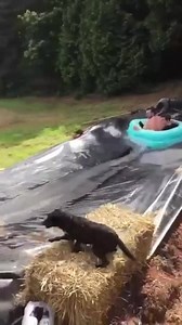 205K views · 1.4K reactions |  | Pretty things | Facebook