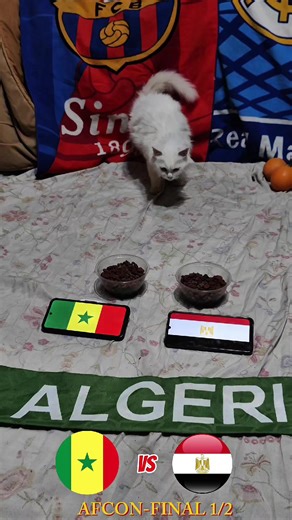 Egypt vs Senegal Football Showdown