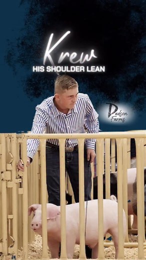 Dadson Farms on Instagram: "Krew J in hog showmanship with his Should Lean! #showpigs #showmanship #pigs"