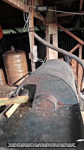 Coconut Frond Tool shreds coconut leaf stalk into fiber material Best for agriculture #tool