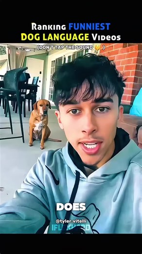 Ranking the Funniest Dog Language Moments