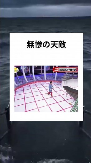 無惨の天敵 #鬼滅の刃 #でんじろう #ハピエネ #投石器