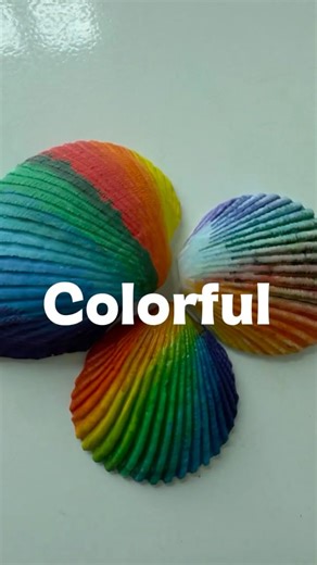 Colorful Shell | Calm Silent Painting
