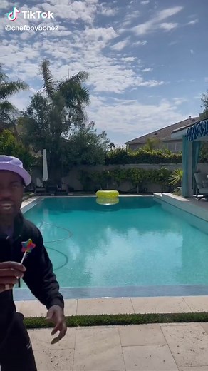 are unicorns real 👀 #xyzbca #fyp #tiktok