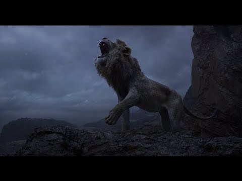 Lion Sound Effects HD