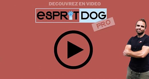 Devenez éducateur canin ! Découvrez notre formation en ligne !