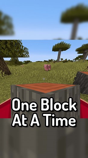 The Minecraft Version ONE BLOCK AT A TIME!!! | #minecraft#minecraftvideo#minecrafttexturepack#minecraftmod#joeysaf#viral#funny#minecraftaprilfools