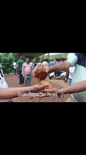 Goan Reporter:: Watch Traditional Coconut Breaking Contest at Cortalim