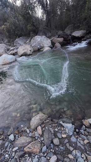 10-FOOTER Cast net throw! let's see if there is any catch #castnetfishing #netfishing #shorts