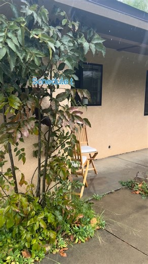 BHGRE Haven Properties on Instagram: "Do the showing in the storm! Or as close to that timing as you can. It may not feel ideal to leave your cozy home, but rainy or windy weather is actually one of the best times to view a property. A storm reveals what a sunny day won’t. You can check for roof leaks, gutter overflow, poor drainage, standing water near the foundation, basement moisture, window or door drafts, seal failures, driveway flooding, grading issues, sump pump performance, and even how