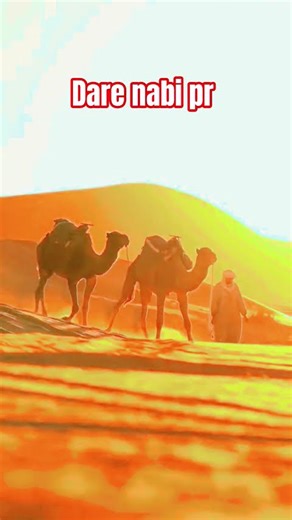 dare nabi pr #viralshort #trendingshorts #rasoolallah #rasoolallah #islamicgreeting
