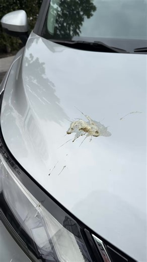 3.4K views | Foam up, scrub down, rinse clean, and dry streak-free—results that even a pro would admire. | Chemical Guys | Facebook