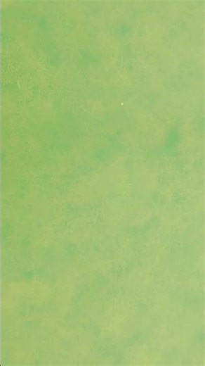 Beautiful underwater nature #music