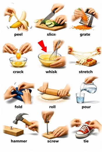 Learn Everyday Action Words in English | Easy Verbs for Beginners 🖐️✨