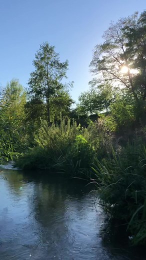 Summer Memories 2022 Aesthetic Sounds for Travel Vlogs