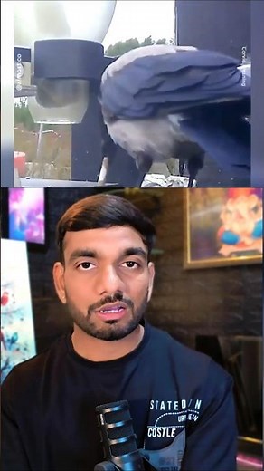 Crows Unique Experiment 🧪