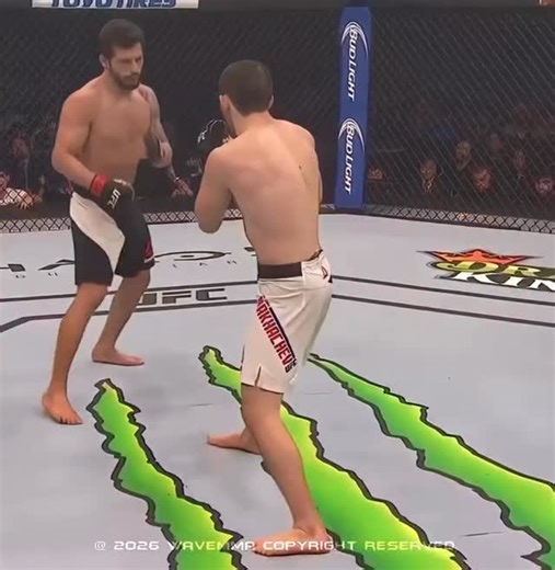 Khabib 🦅 on Instagram: "This chimpanzee could arguably pass a memory test faster than most humans. 🧩⚡ In controlled cognitive experiments, chimpanzees can memorize the exact positions of numbers on a screen after seeing them for just a fraction of a second, then recall them flawlessly once the numbers disappear. Humans, even when specially trained, consistently struggle to match this performance. The reason is neurological. Chimpanzee brains are optimized for ultra-rapid visual processing and 