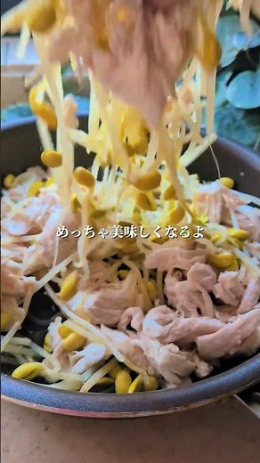 野菜不足解消！このタレが絶妙！ささみの野菜もりもりサラダ！ #重ね煮ごはん #重ね煮料理 #簡単レシピ