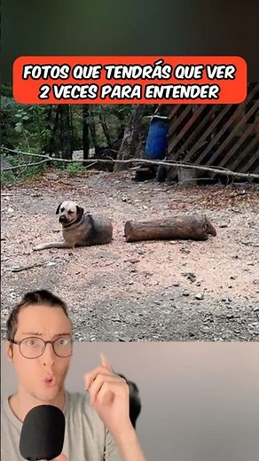 Photos you'll have to see twice to understand 😱 #shorts