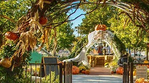 Pumpkinville Returns To Myriad Gardens For Fall Season
