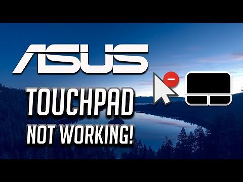 Asus Touchpad Not Working Windows 10/8/7 [2026 Tutorial]