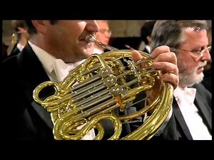 Brahms's 2nd Symphony, Horn Solo