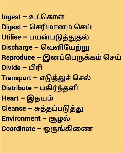 #spokenenglishclasses #English #tamil #englishspeaking #tvkvijay #englishlearning #jananayagan