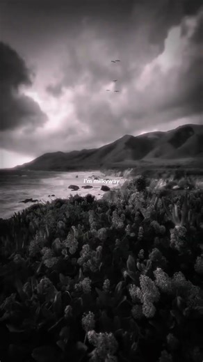 Levitating - Dua Lipa || aesthetic edit || lyrics edit || slowed || speed up || reverb ||