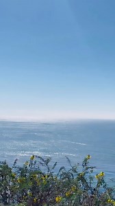 Jesus wants to have intimate relationship with you #God #Godisgood #Godislove #pray #prayers #prayerworks #trust #TrustGod #Jesus #MamaMary #havefaith #believe #HolySpirit #GodtheFather #Amen #GodBless #motivation #inspiration #fbreels #fbreelsvideo #reelsvideo #foryoupage #reelsviral #fyp #quotes #instagram #instagood #instadaily #instalike #ocean #nature | Lavilia Casas