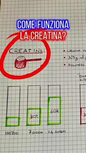 Come prendere la creatina: guida completa
