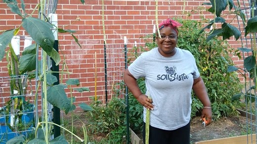 3 Foot Long Beans | Black's Tropical Homestead