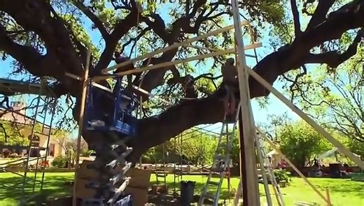 Treehouse Masters - Se6 - Ep01 HD Watch