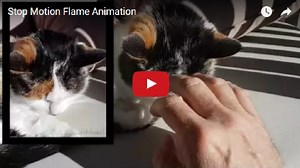 Cat gets a flame on forehead with stop-motion