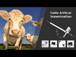 Smart ai gun with camera for Artificial Insemination in Cow - PART 1