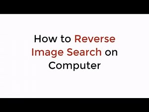 How to Reverse Image Search on Computer (2021)