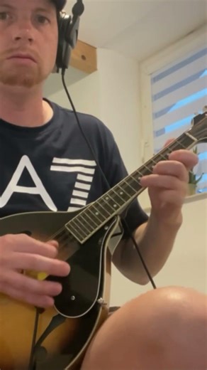 lead mandolin for a drinking song 🍻