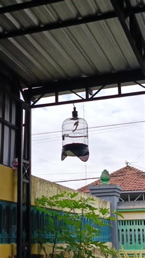 Kusuma Wijaya on Reels