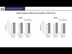 Success factors for gel extraction