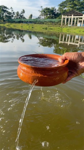 Survival Skills: Repairing a Leaking Earthen Pot in the Wild 🌿