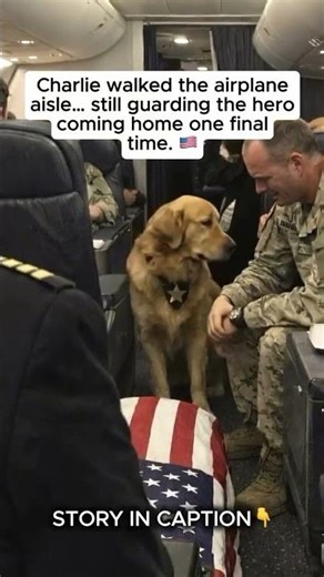 READ FULL STORY BELOW 👇