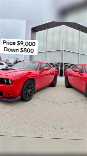 2017 Dodge Challenger 392 Scat Pack Shaker - Pure Muscle