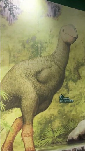 Dino ducks are real? #shorts #dinosaurexpert #QueenslandDinosar