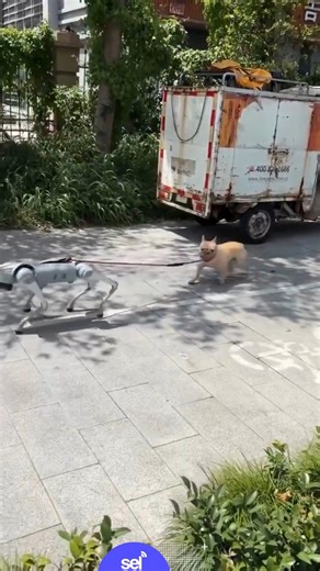 ¡El futuro ya llegó!🤖🐶 Un perro robot fue captado paseando a un perro real por las calles de China, y el video se volvió viral en cuestión de horas. 😱🎥 El robot, creado por Unitree Robotics, sostiene la correa y camina junto al can como si fuera su dueño. Las redes estallaron entre asombro y risas, mientras algunos se preguntan si este es el comienzo de una nueva era para las mascotas. 🚶‍♂️💡 ¿Te gustaría tener un perrito robot? #PerroRobot #Viral #Tecnología #China #Entérate | Sinaloa en L