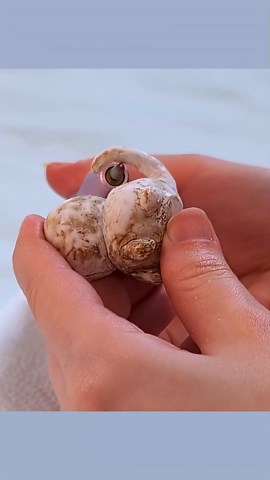 Creative 3D pen tutorial inspired by Mozart’s love for Mewgenics and feline fun